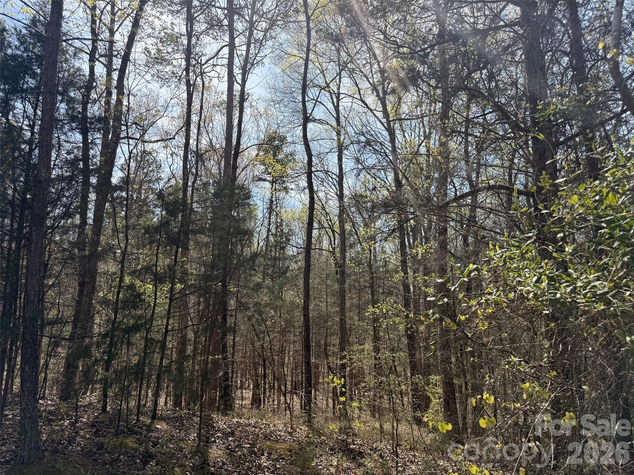 6223 Twining Vine Court