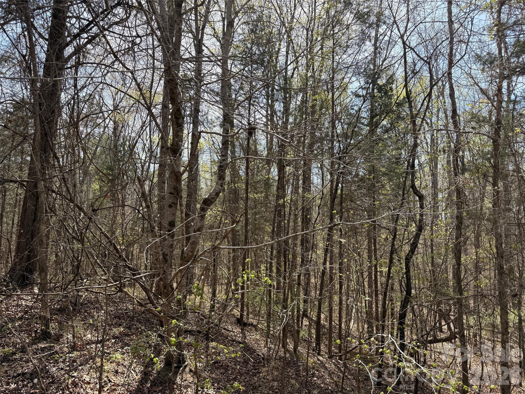 6223 Twining Vine Court