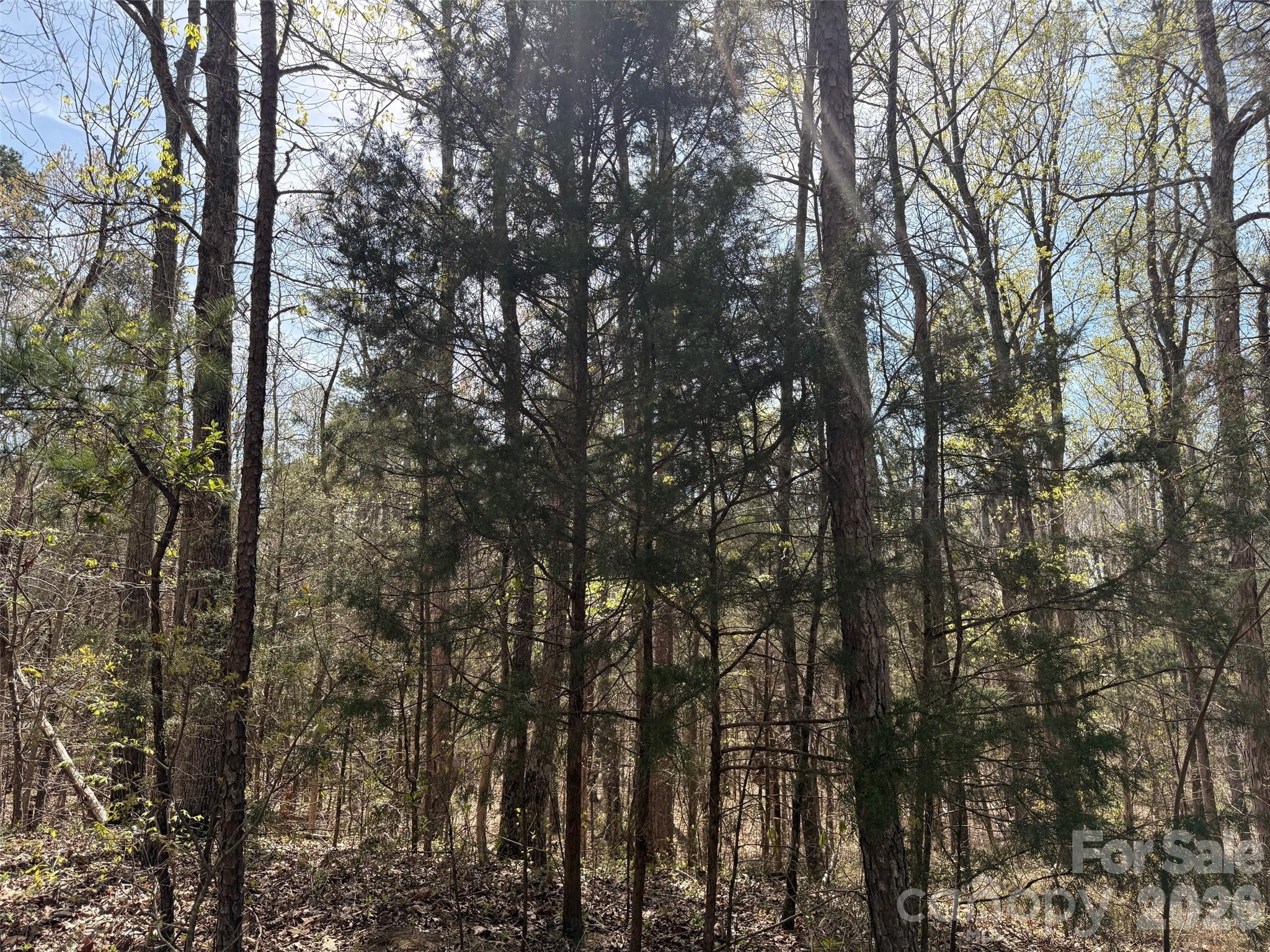 6223 Twining Vine Court