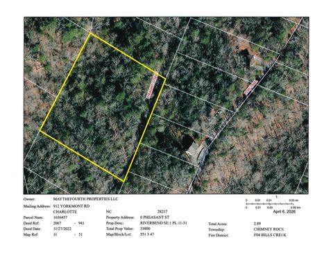 0 Pheasant Street 51 Lake Lure NC 28746