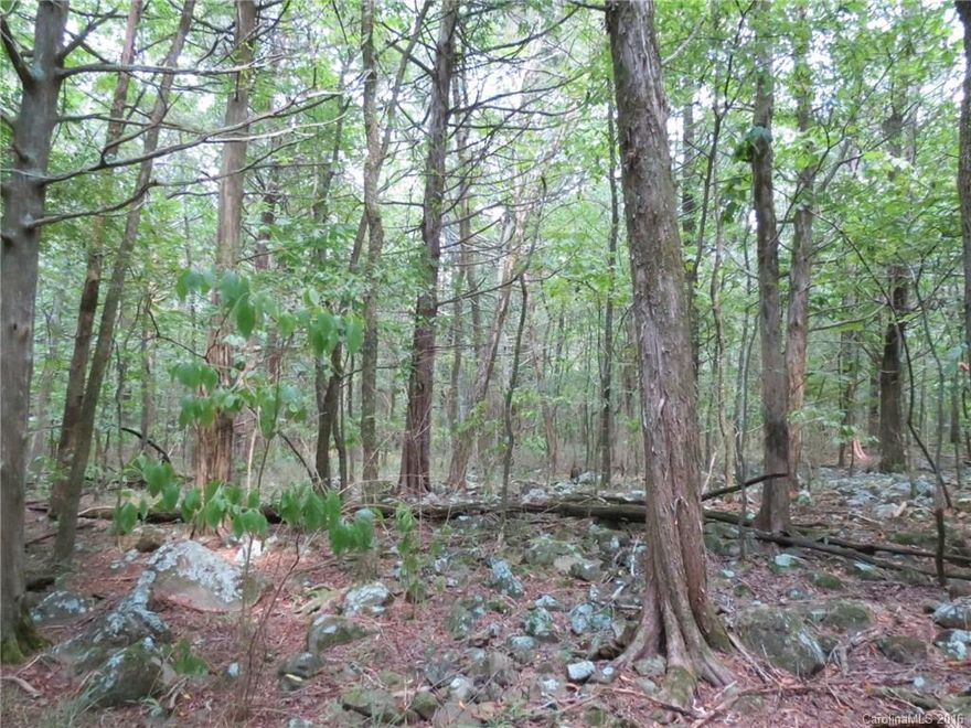Large tract with plenty of potential for a private home site or just a recreational tract.  The property has a gentle roll and great mixture of hardwoods and pines.  There is plenty of deer sign on the property.  The land is accessed by an easement that needs the drive installed.