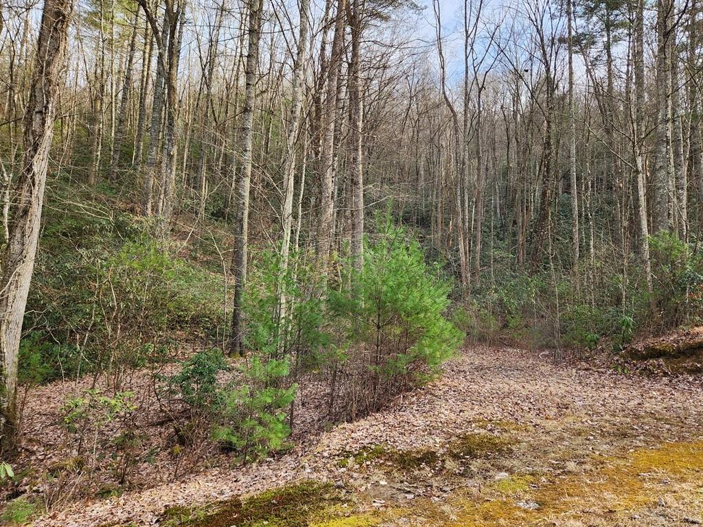 Round Mountain Falls - Land