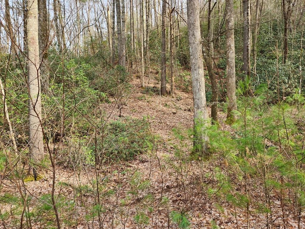 Round Mountain Falls - Land