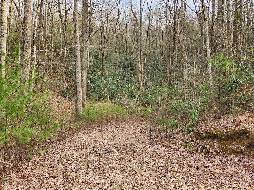 Round Mountain Falls - Land