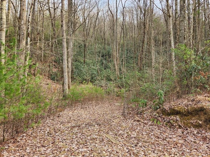 Enjoy being surrounded by nature on this pretty, wooded lot tucked away near the end of a quiet street in Round Mountain Falls. 25 minutes to downtown Brevard.