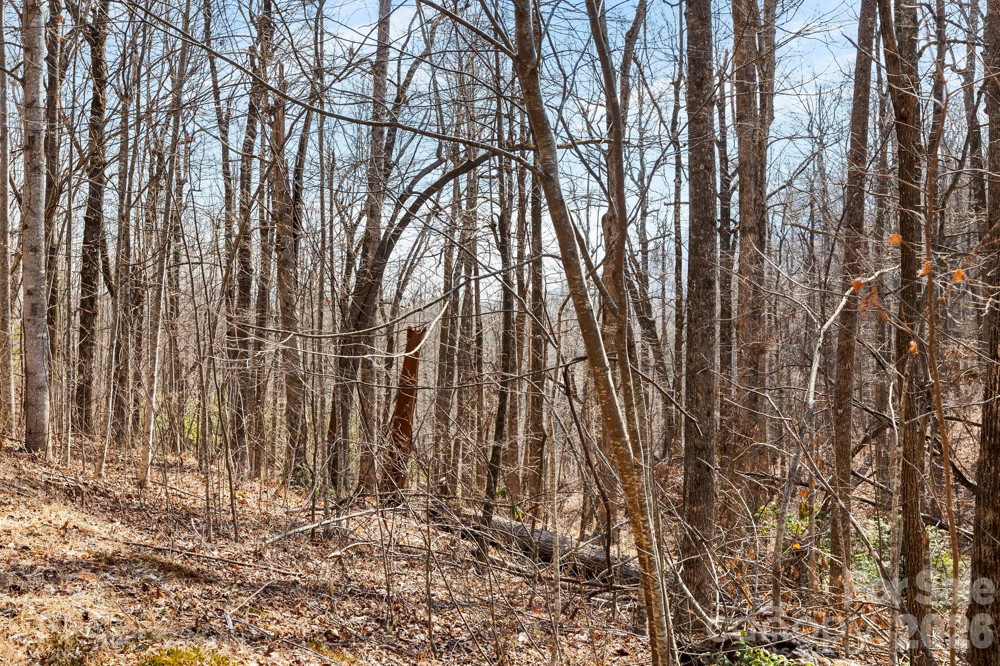 Laurel Mountain Preserve - Land