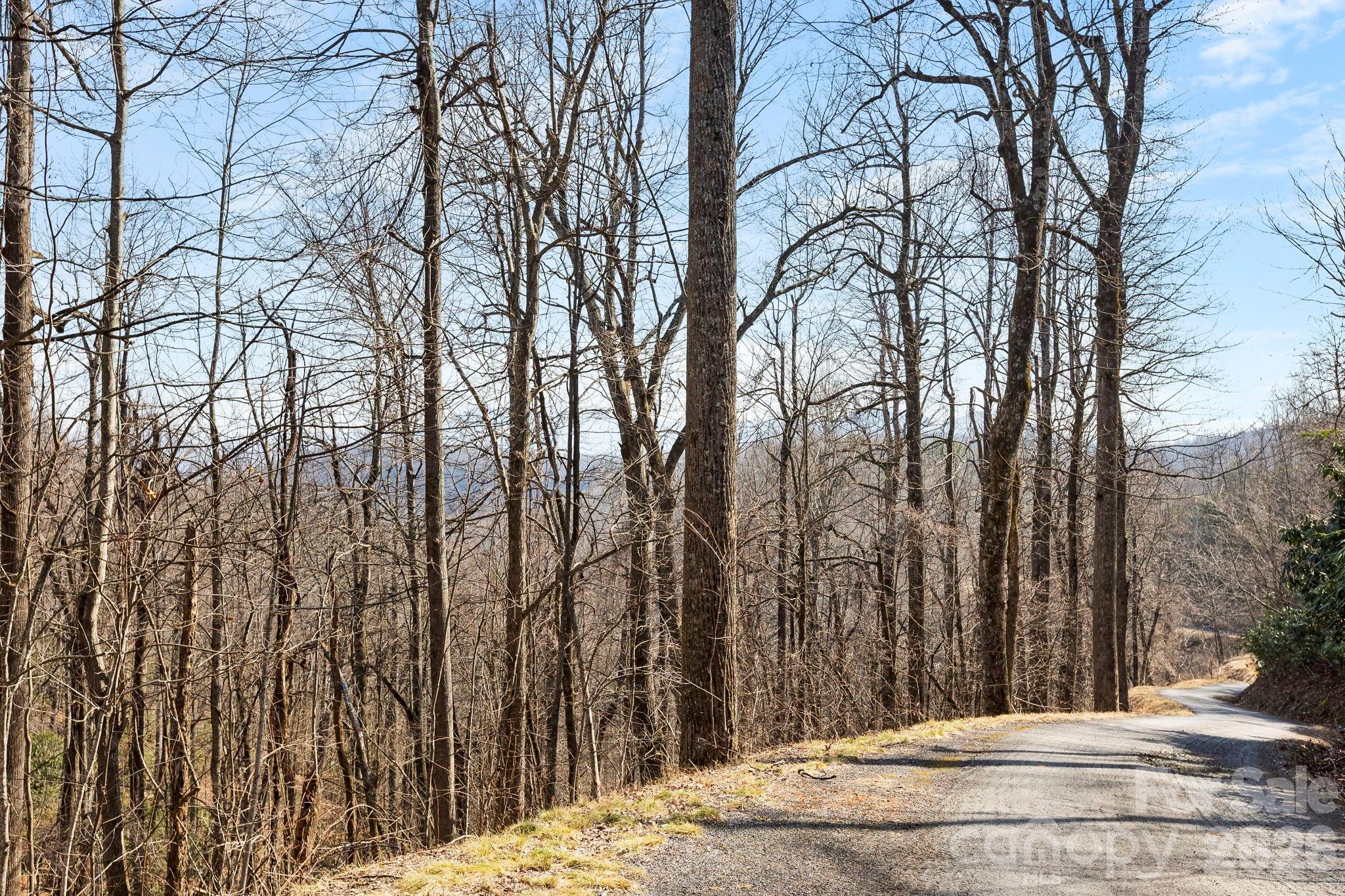 Laurel Mountain Preserve - Land