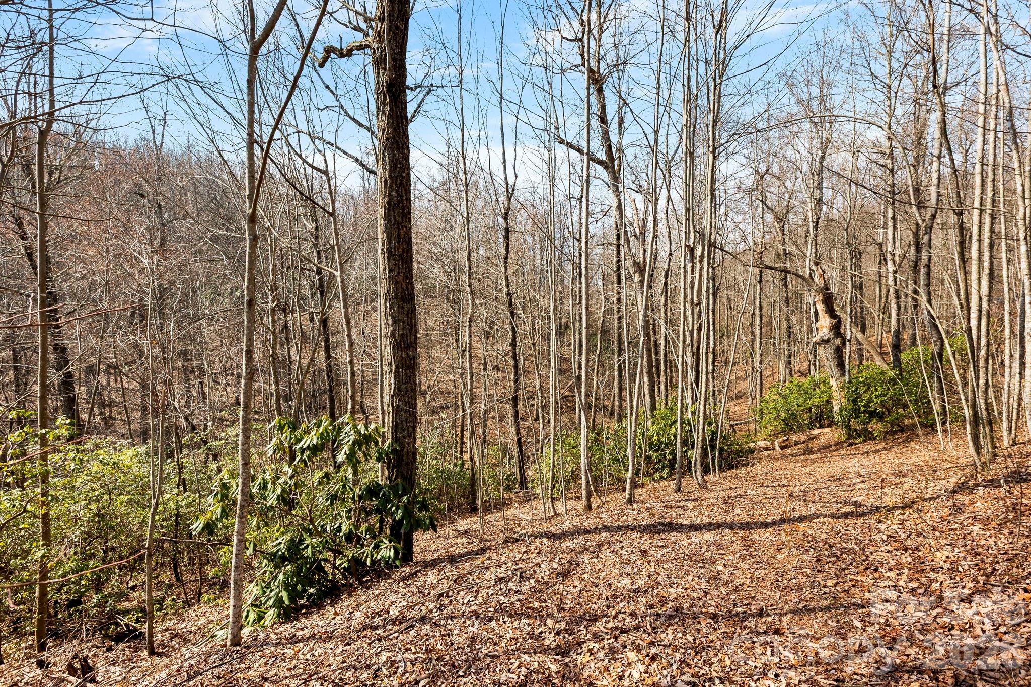 Laurel Mountain Preserve - Land