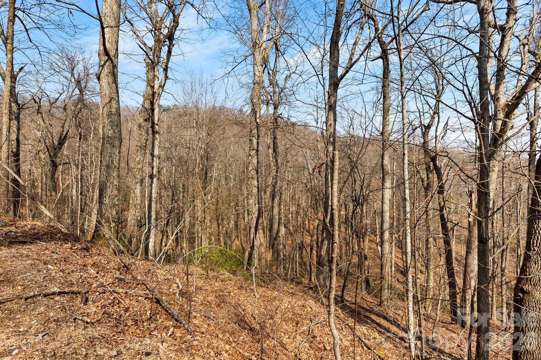 Laurel Mountain Preserve - Land