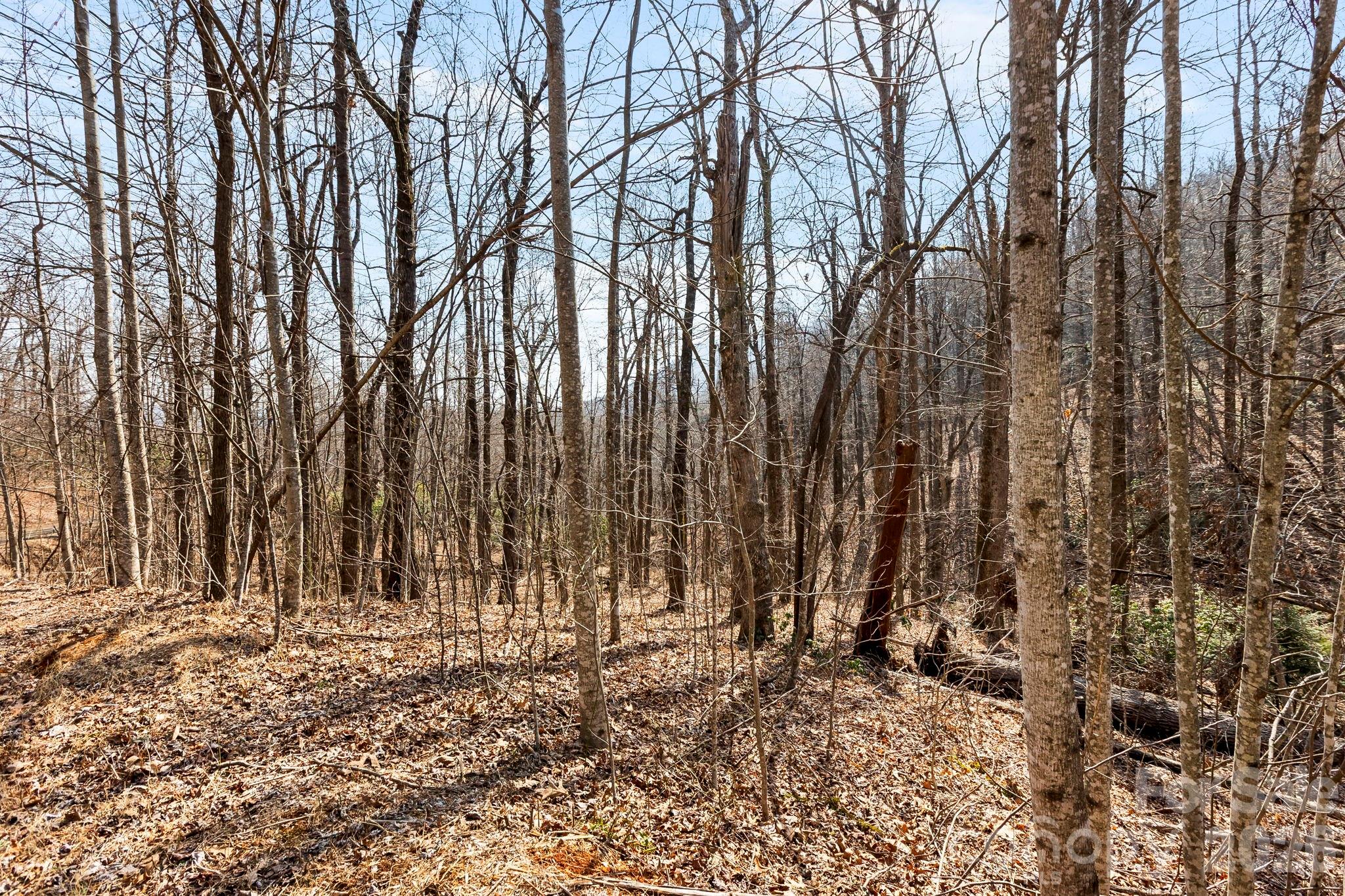 Laurel Mountain Preserve - Land