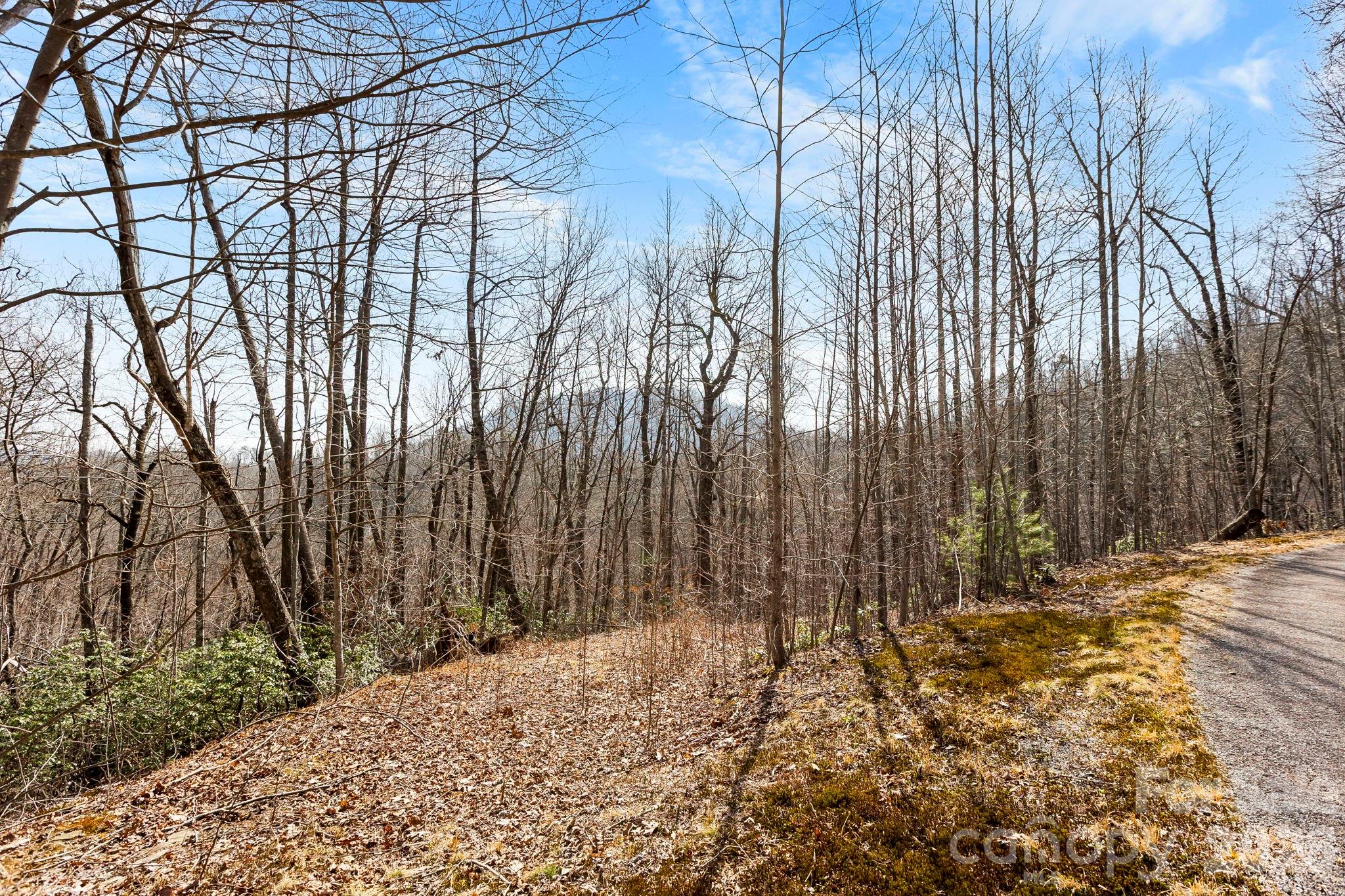Laurel Mountain Preserve - Land