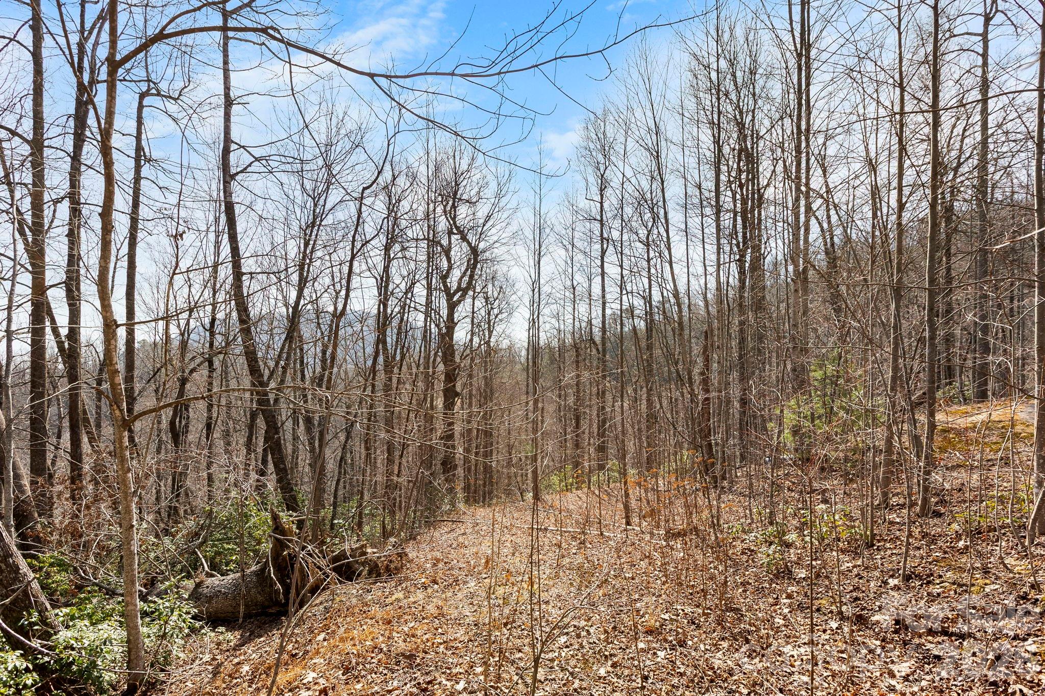 Laurel Mountain Preserve - Land
