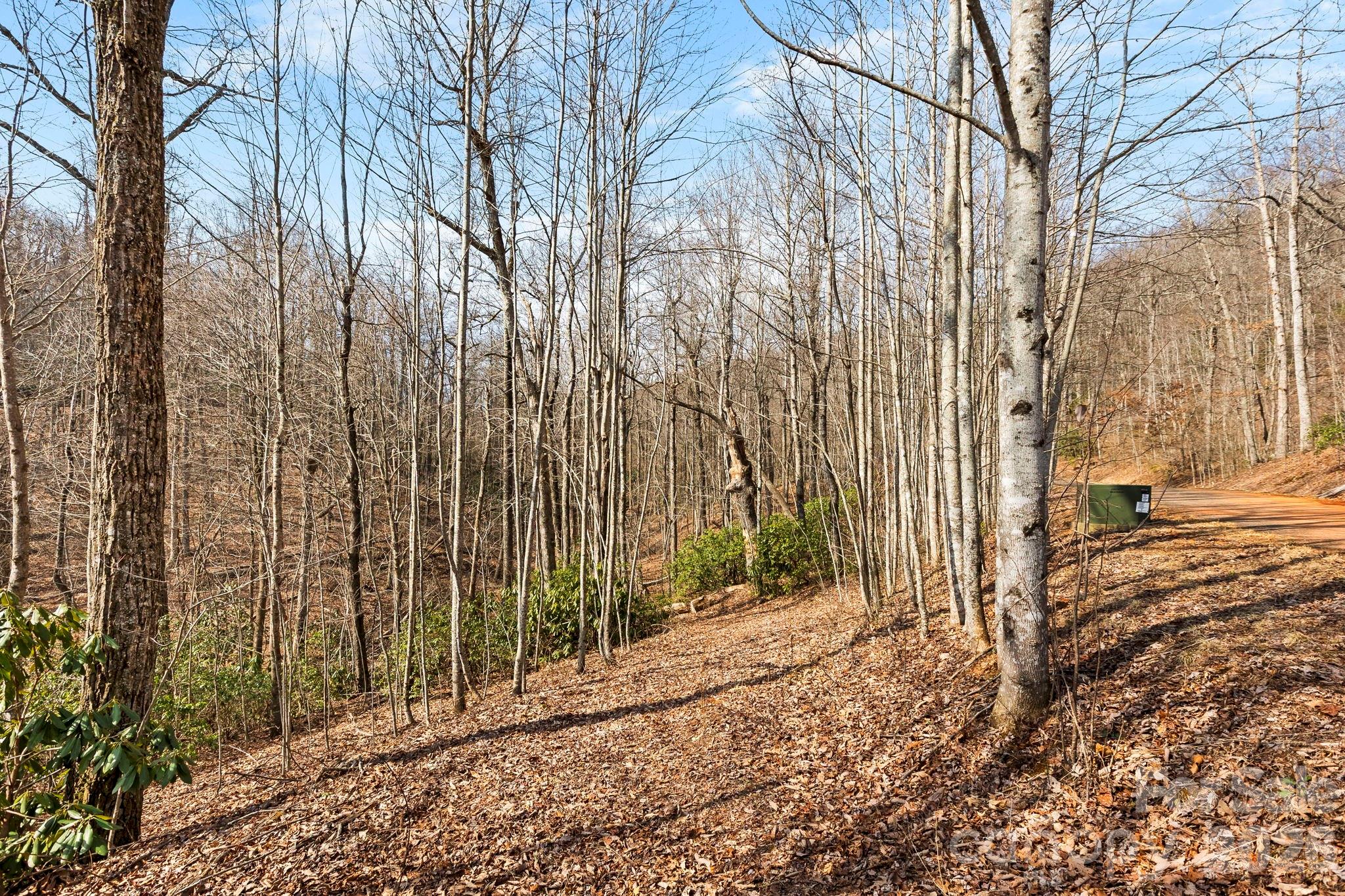 Laurel Mountain Preserve - Land