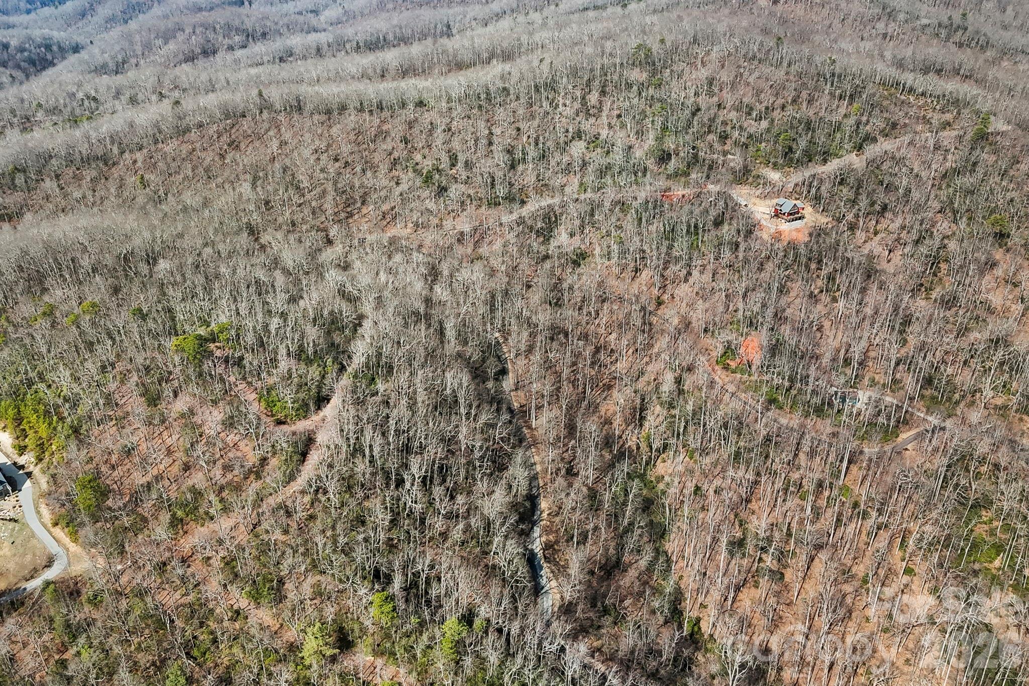 Laurel Mountain Preserve - Land