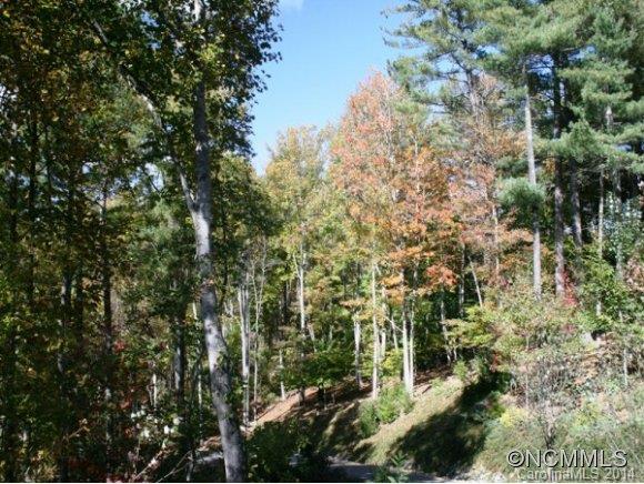 Town Mountain Preserve - Land