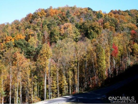 Town Mountain Preserve - Land