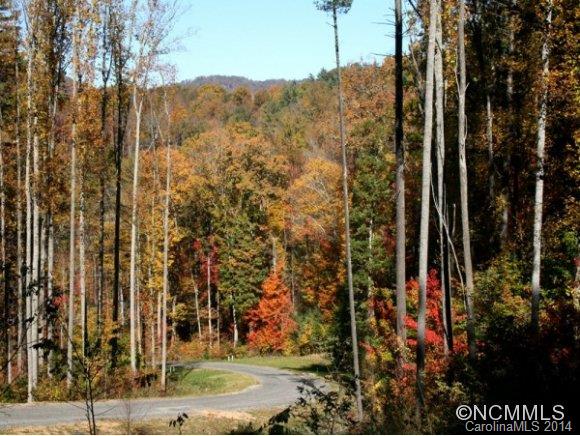 Town Mountain Preserve - Land