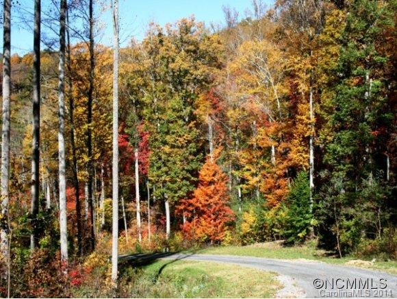 Town Mountain Preserve - Land