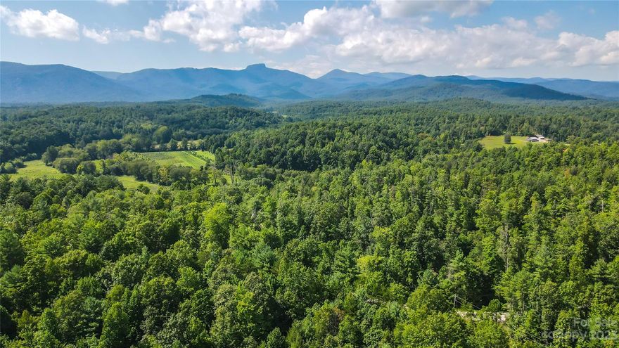 Amazing opportunity for undeveloped acreage conveniently located near Table Rock, Linville boating access, Fonta Flora Trail, Lake James, and the High Country. Enjoy private acreage with road frontage, lots of wildlife, and country living just a short drive to town. This 22.742 acres has been split from a larger parcel. Survey has been recorded.