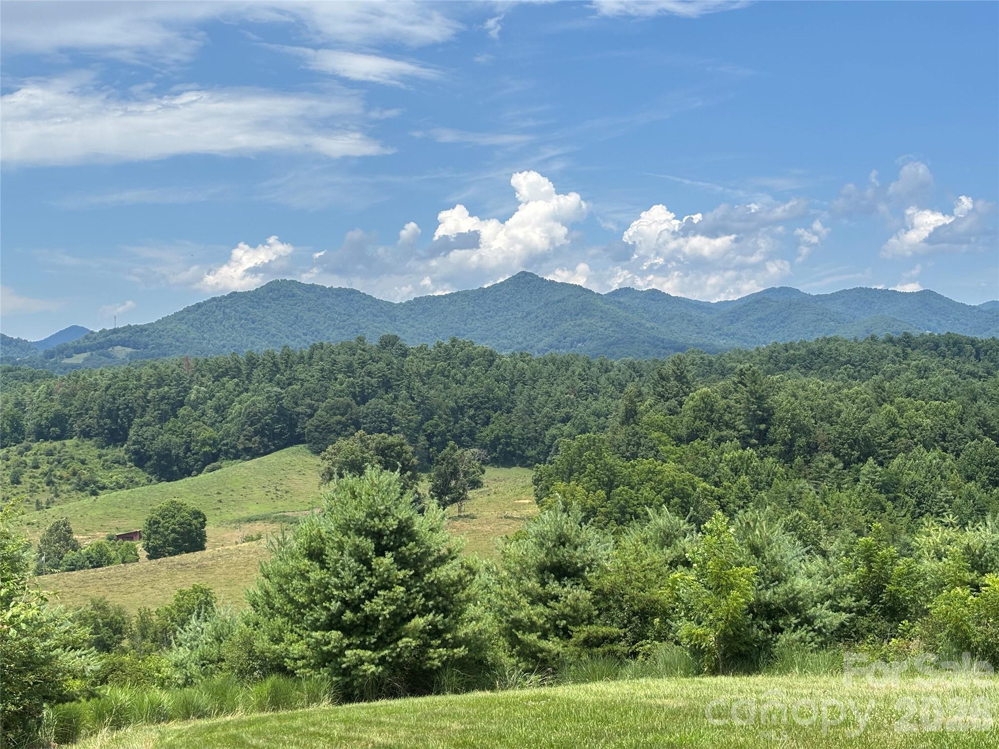 1387 Woods Ammons Road