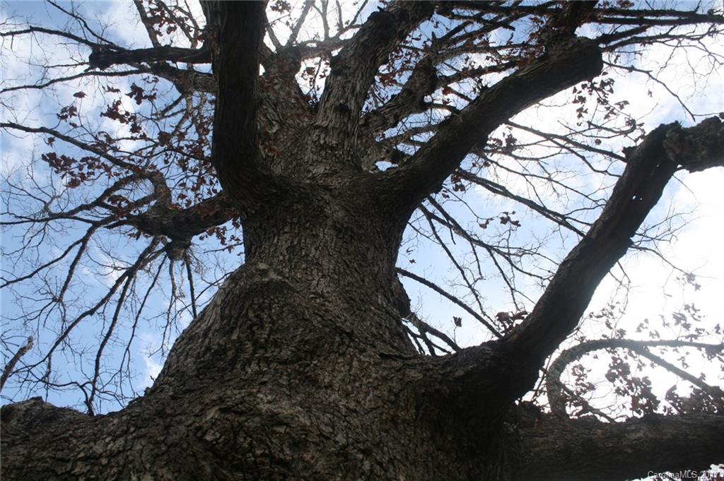 Haw Creek - Residential