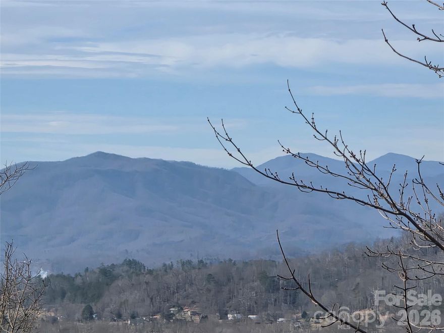 Come home to your 3 acre mountain retreat with stunning long range views in Deerwood gated community! Build on the level site at the top of the lot and clear the trees down the gentle slope to open up the most beautiful views. 3 bedroom septic permit in place. Private serene area near the end of the road. Low annual dues and light restrictions. Vacation rentals allowed. Community adjoins the Pisgah National Forest and features a beautiful waterfall. Located less than 10 minutes to Linville Falls, Blue Ridge Parkway and Linville Falls Winery. 40 minutes to Banner Elk, 50 minutes to Boone.