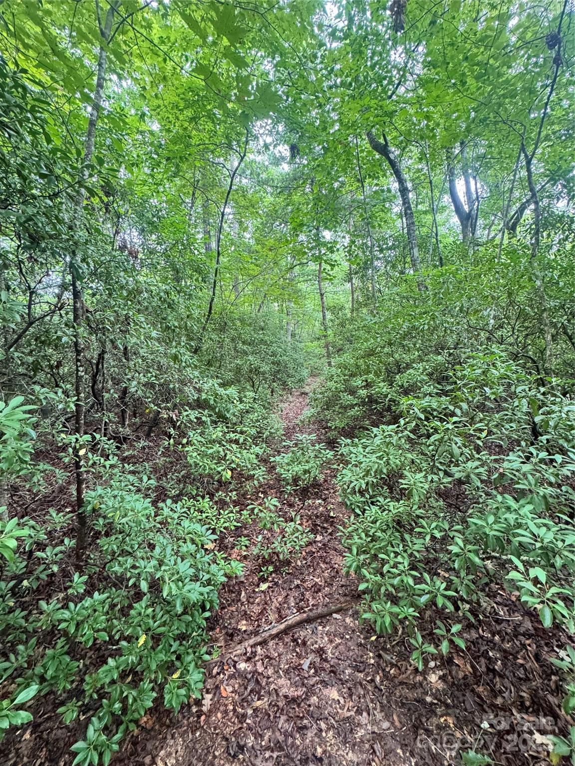 Grassy Knob Acres - Land