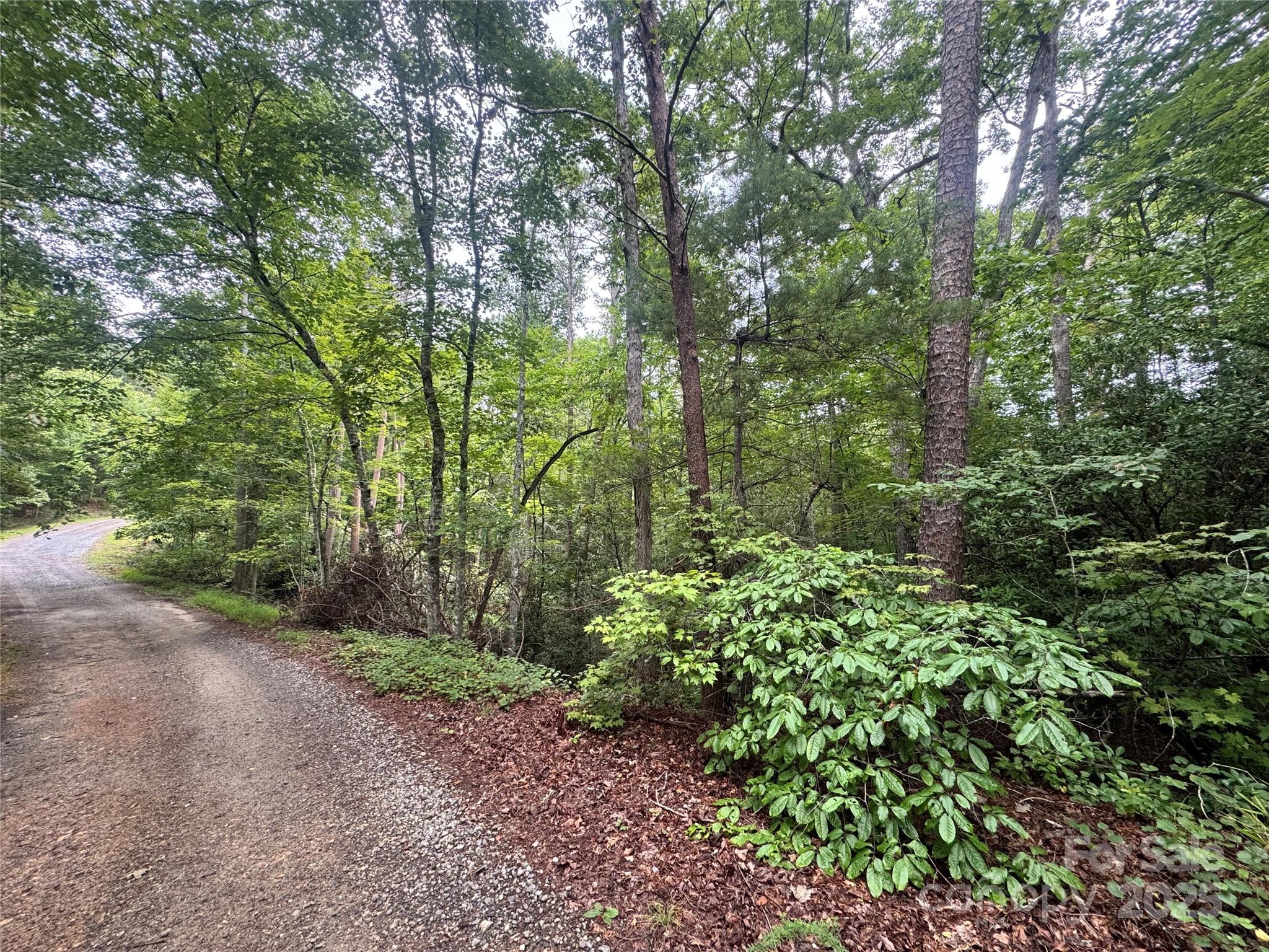 Grassy Knob Acres - Land