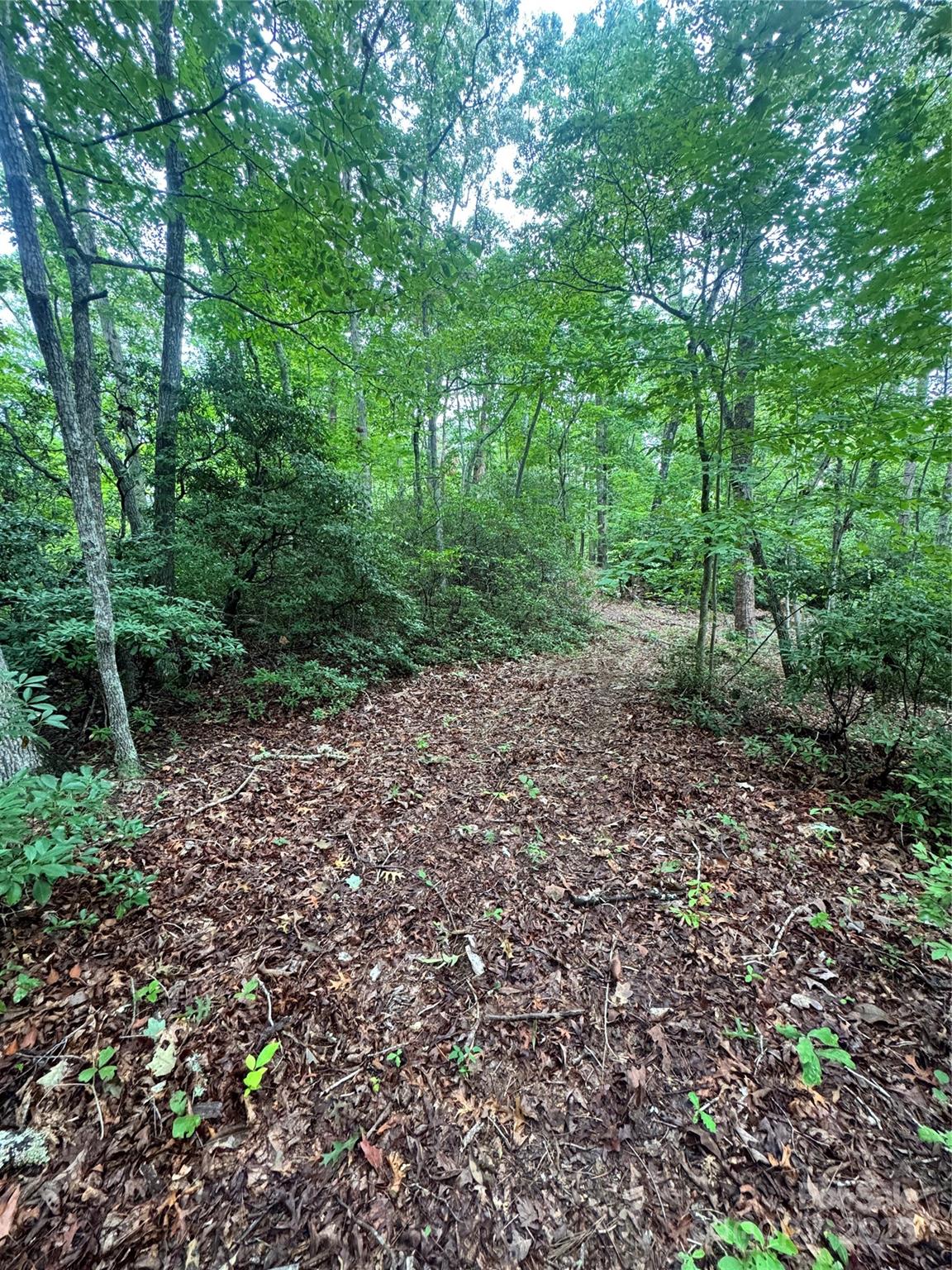 Grassy Knob Acres - Land