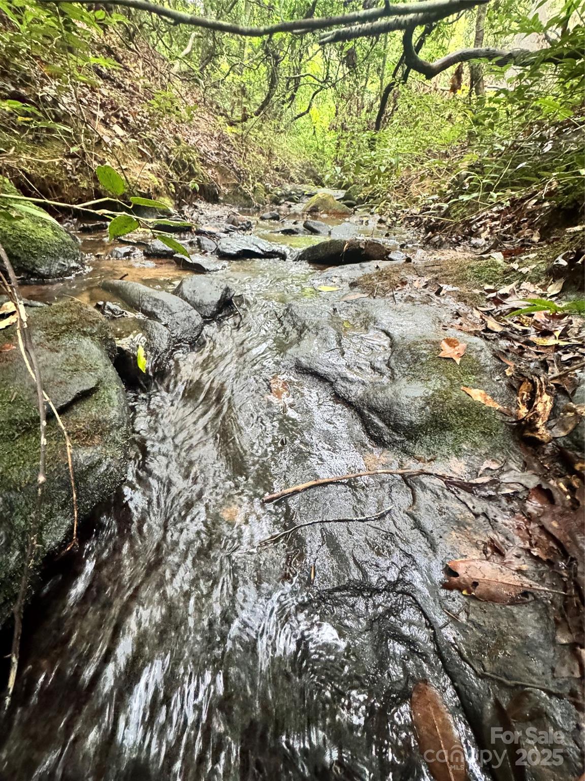 Grassy Knob Acres - Land