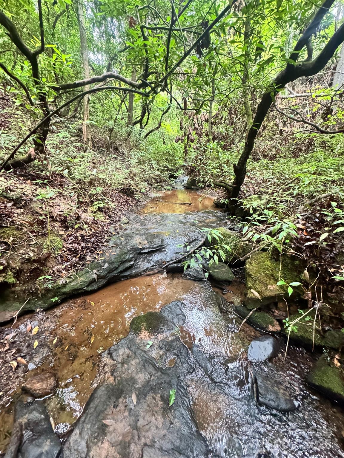 Grassy Knob Acres - Land