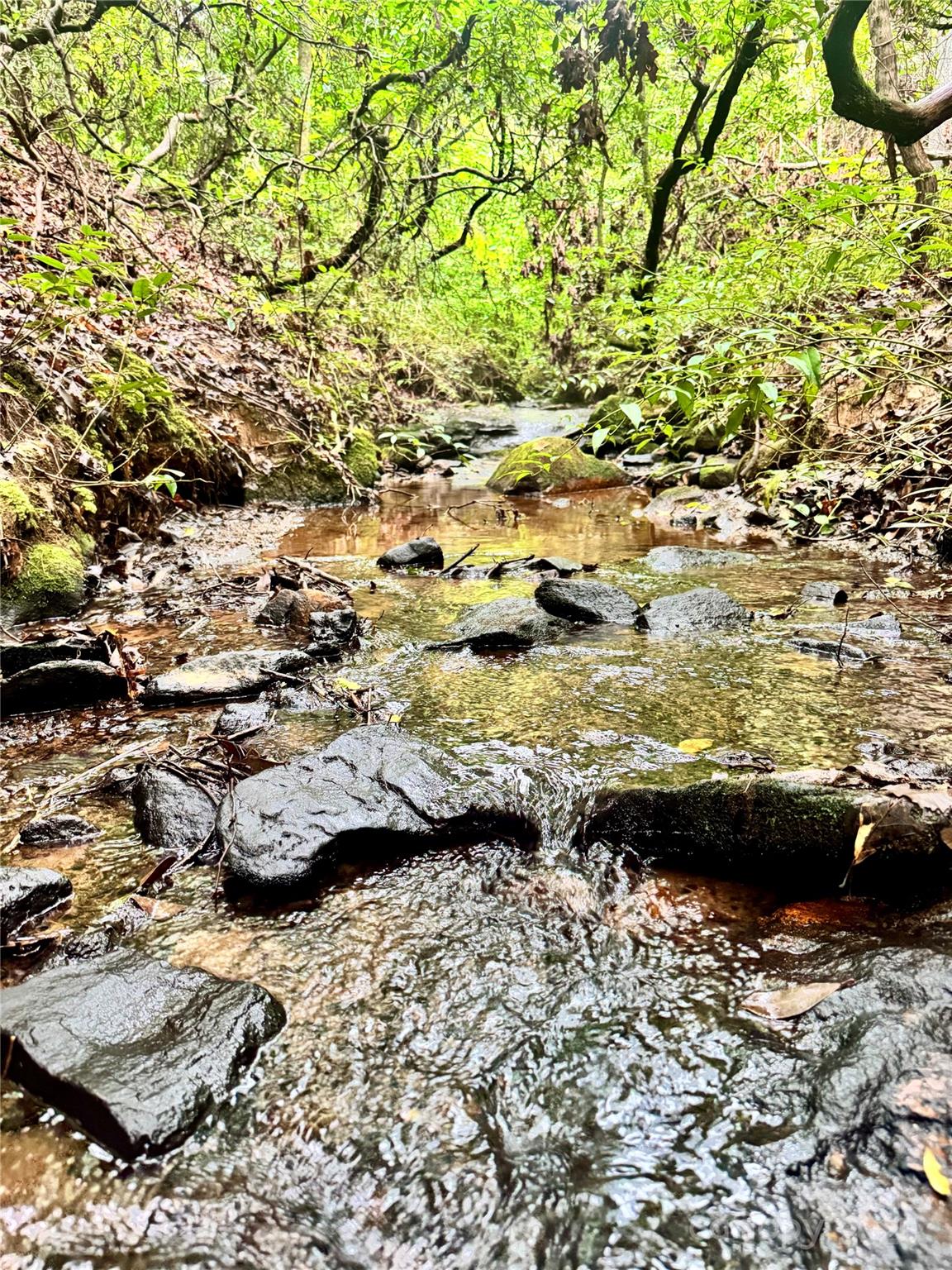 Grassy Knob Acres - Land