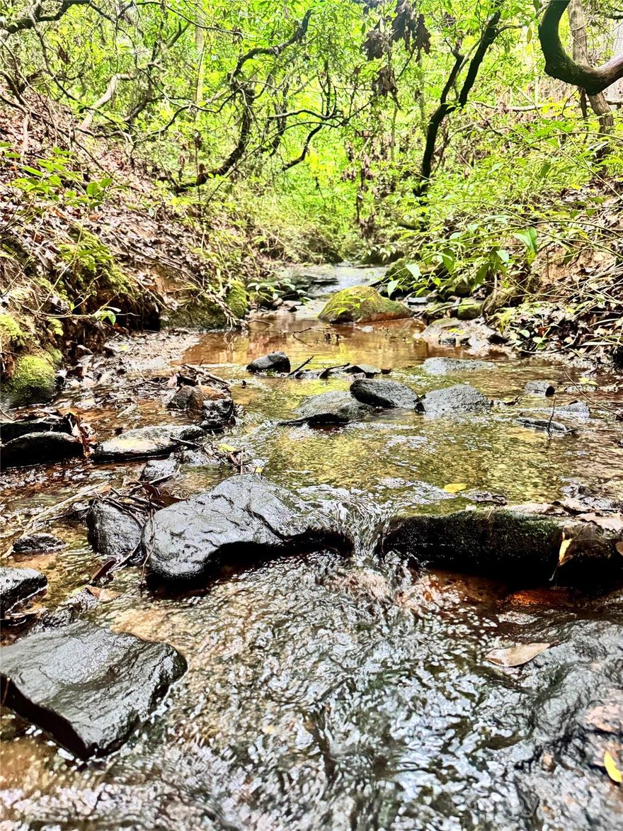 Unrestricted, 1.51 acre, wooded, mountain property featuring a picturesque brook with mossy rock cascades and multiple potential homesites with natural privacy! Tucked away on a private gravel road, this land offers a peaceful escape surrounded by towering hardwoods, rhododendron thickets and ample wildlife. The property also features an old road bed, terrific for an easy conversion into a driveway. Minutes from Lake Lure, Chimney Rock and the Blue Ridge Mountains. Come make this mountain retreat yours!