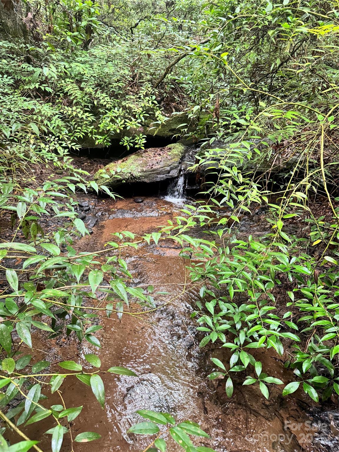 Grassy Knob Acres - Land