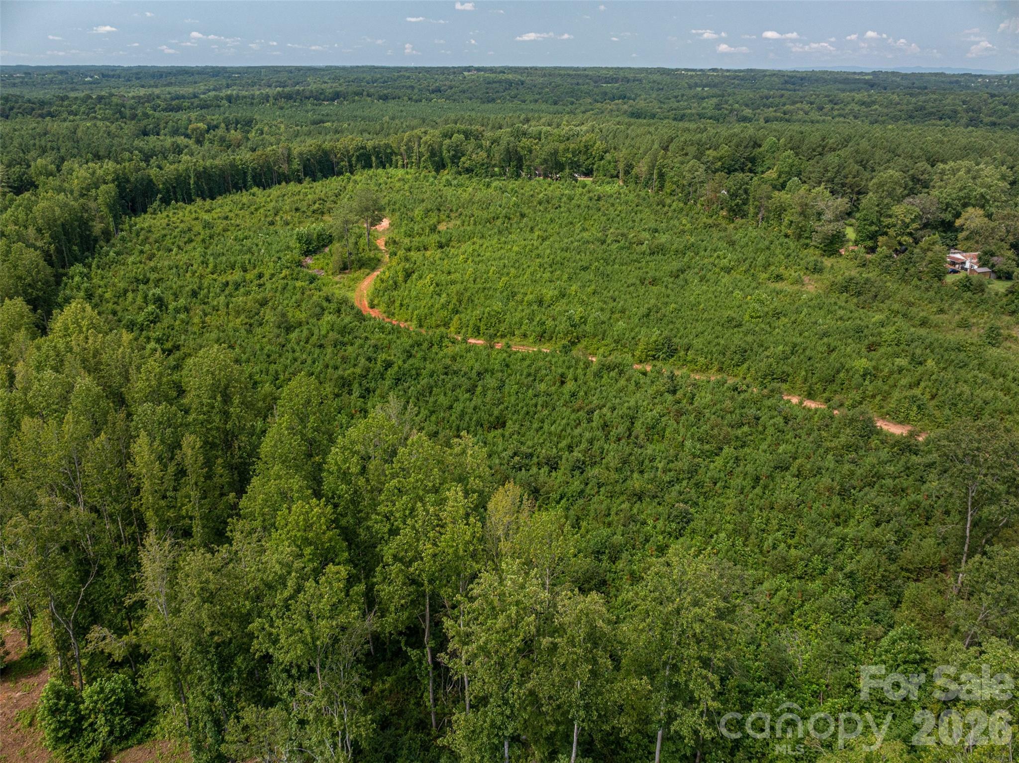 McCurry Farms - Land