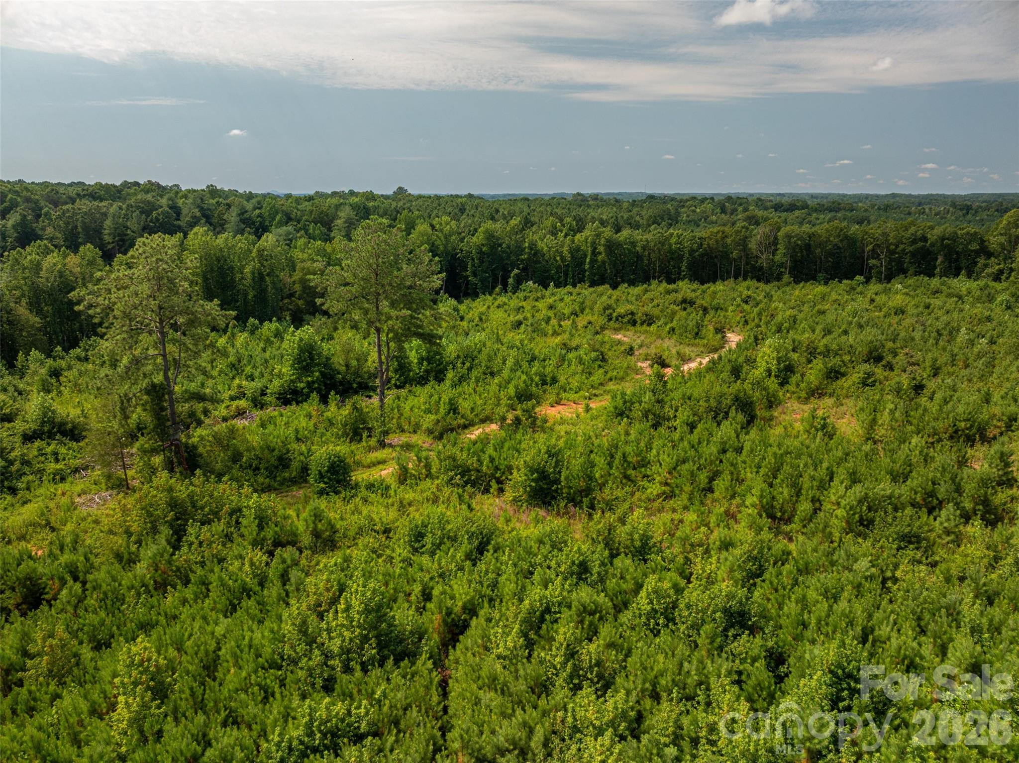 McCurry Farms - Land