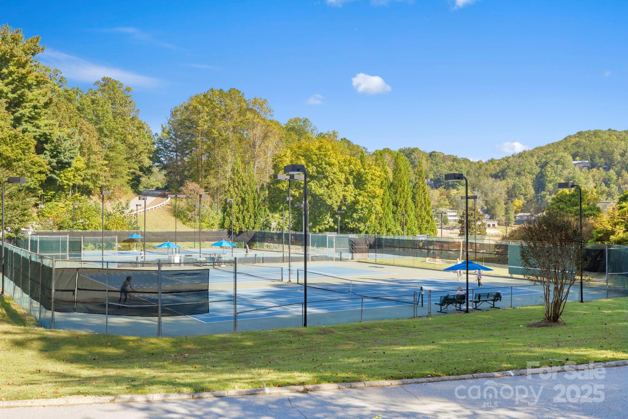 Rumbling Bald on Lake Lure - Land