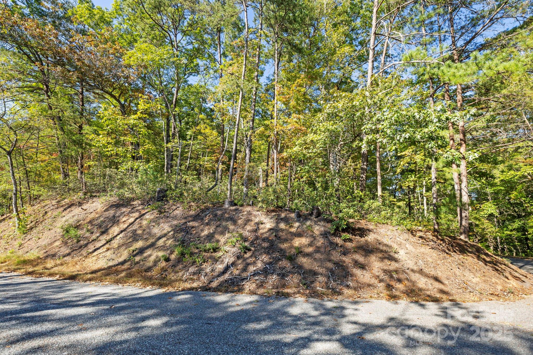 Lot 42 Palmer Place