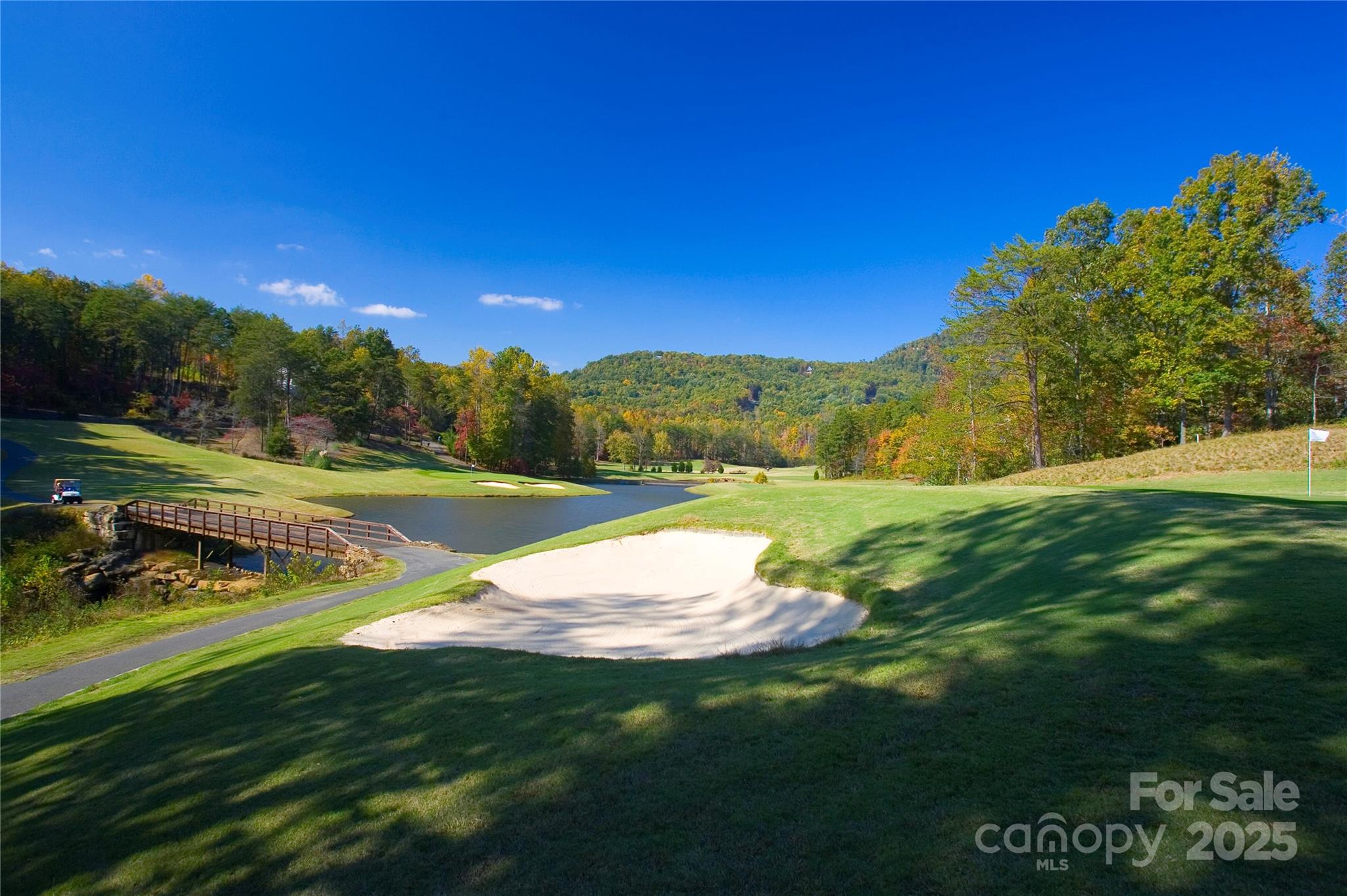 Rumbling Bald on Lake Lure - Land