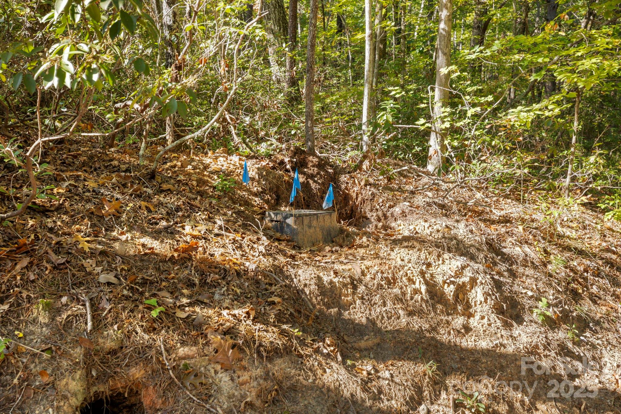 Rumbling Bald on Lake Lure - Land