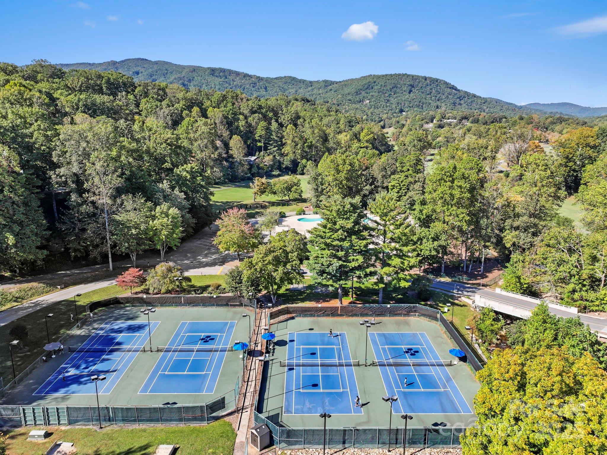Rumbling Bald on Lake Lure - Land