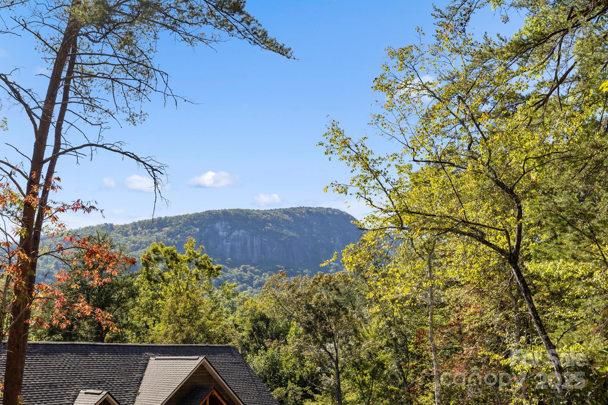 Rumbling Bald on Lake Lure - Land