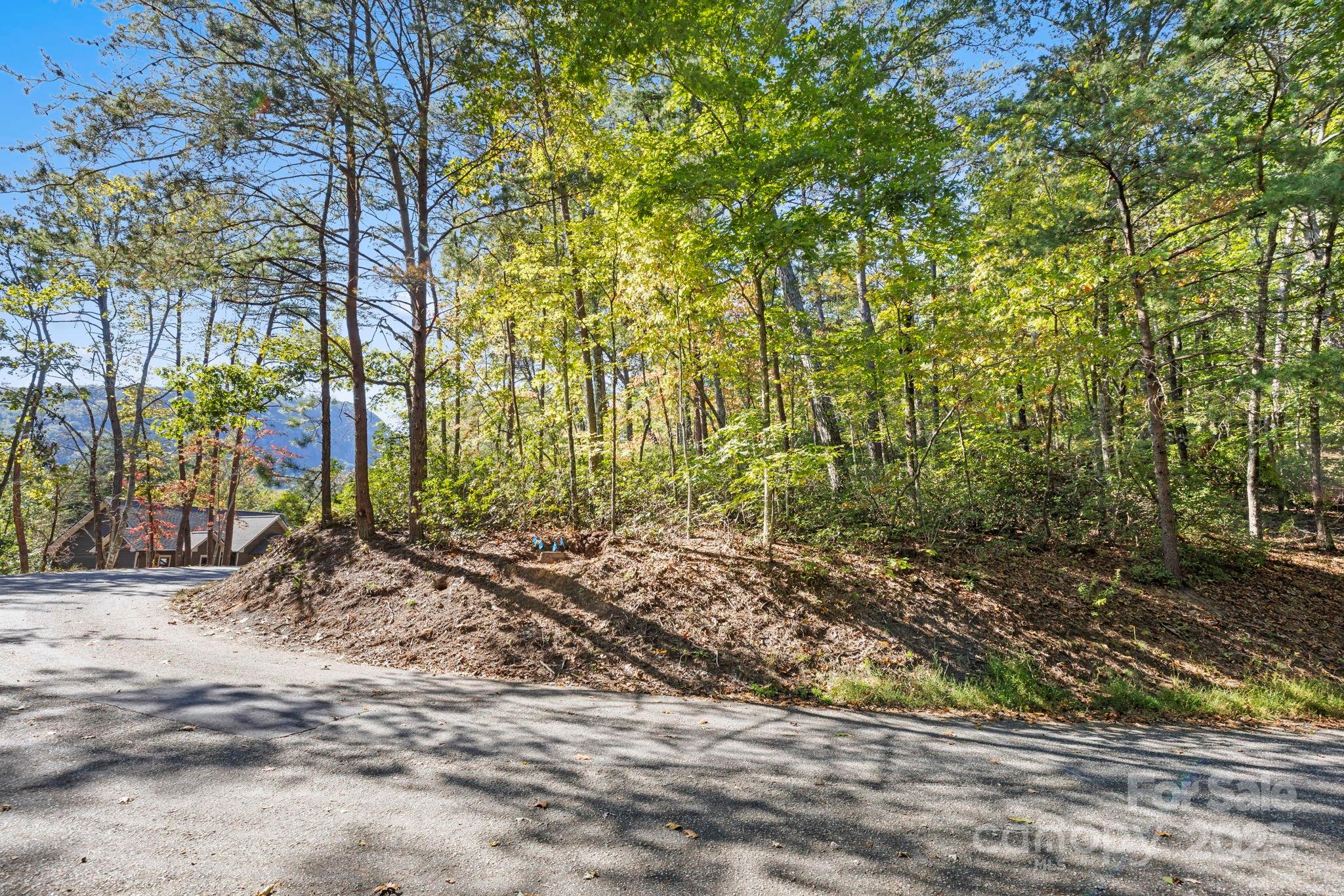 Lot 42 Palmer Place