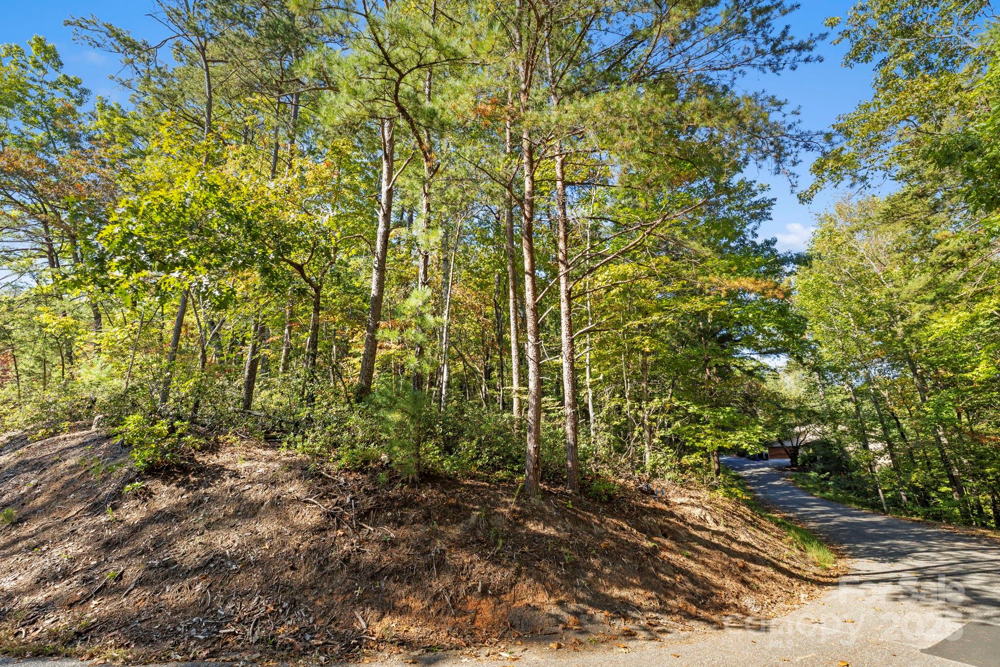 Lot 42 Palmer Place