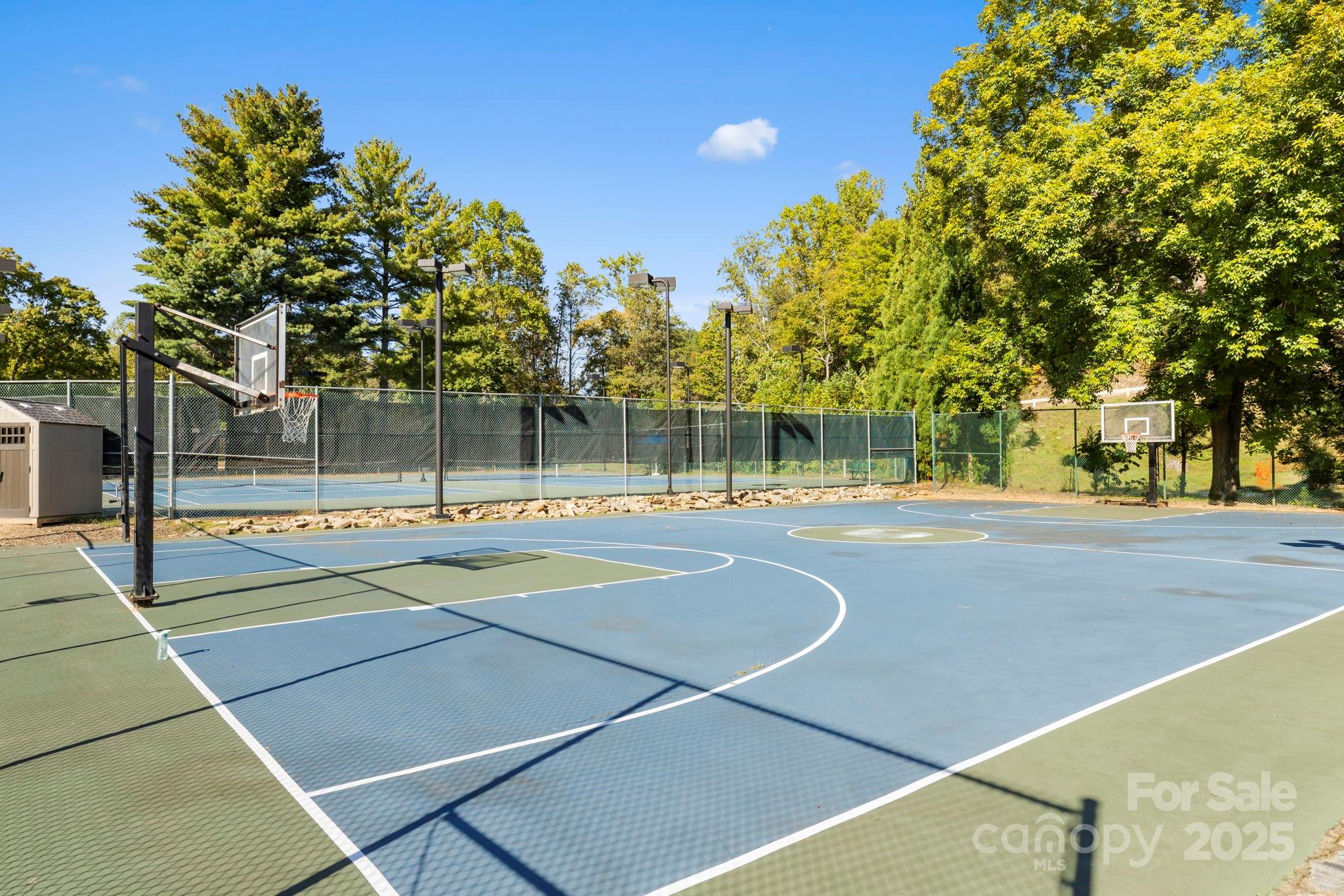Rumbling Bald on Lake Lure - Land