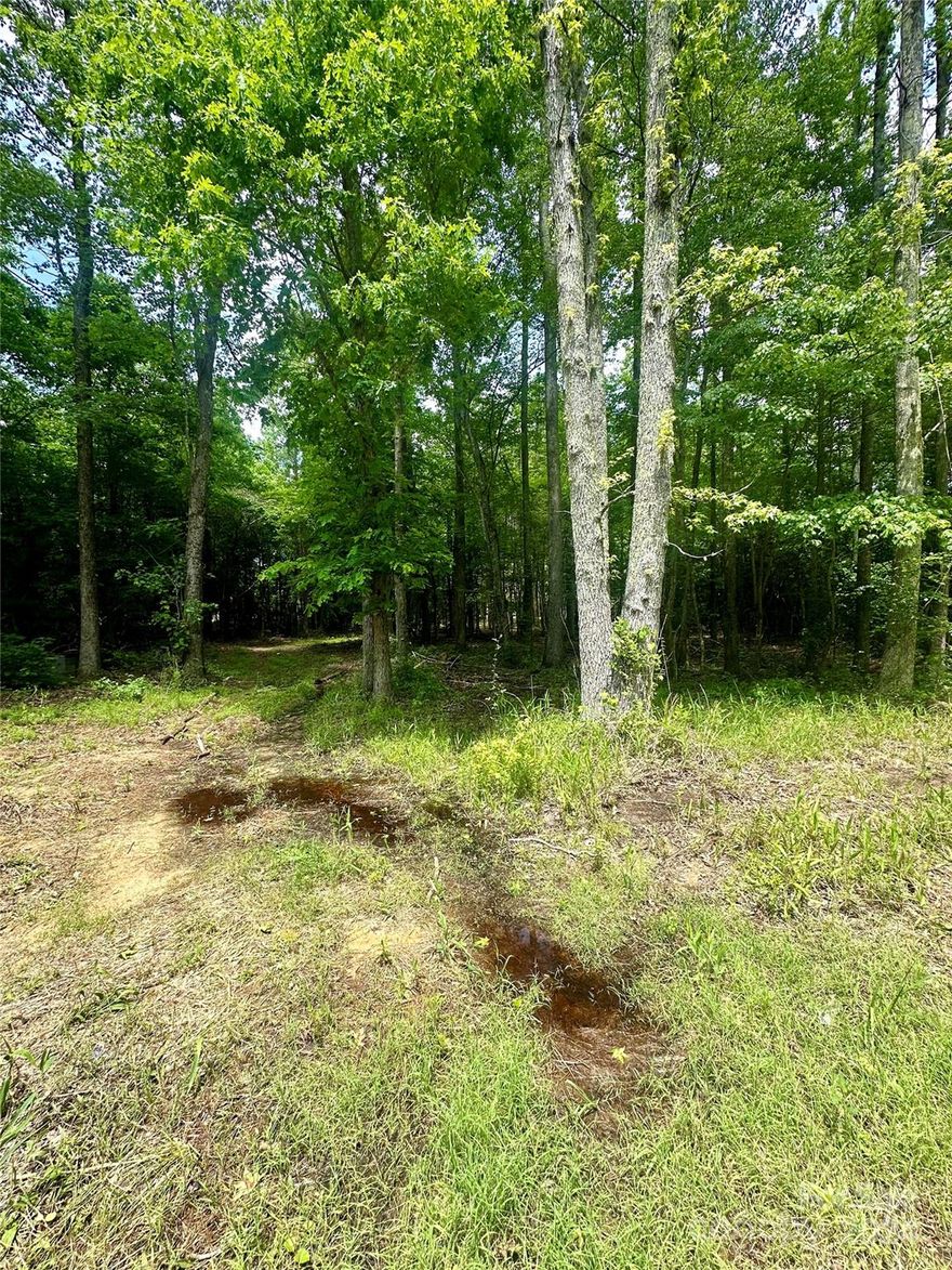 Take a look at this two acre tract located in a great location. Mature trees cover the property and make a great landscape feature. In close proximity to Salisbury and I-85 making shopping and travel convenient. Schedule your showing today and don't miss out on this great piece of real estate!