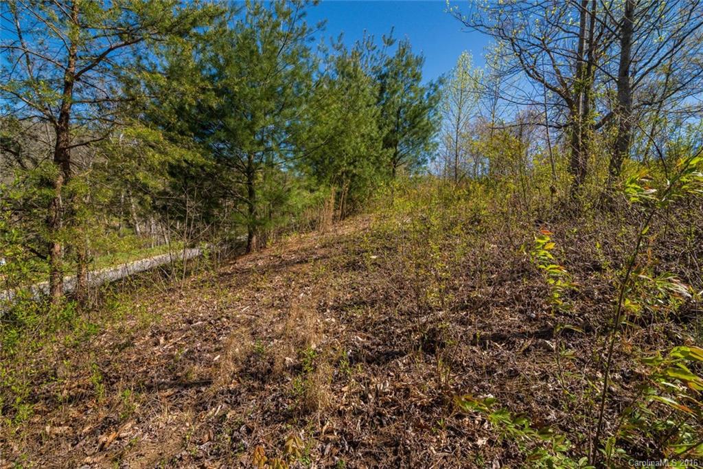 Robinson Creek - Land