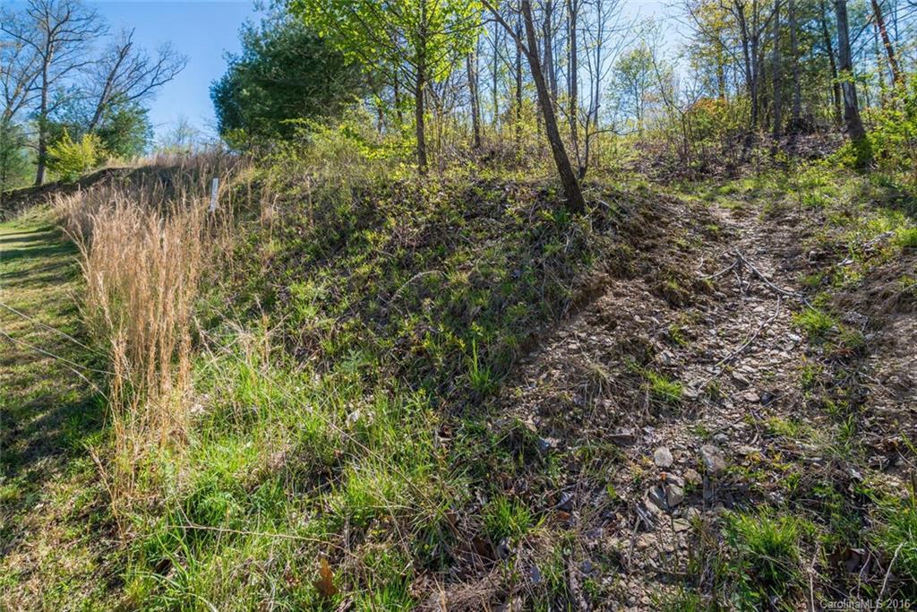 Robinson Creek - Land