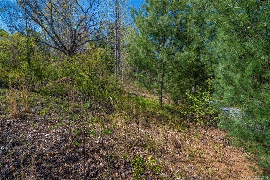 Robinson Creek - Land