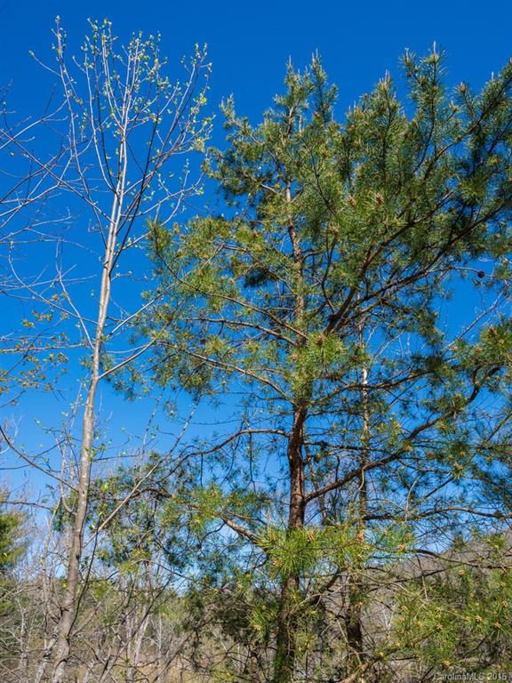 Robinson Creek - Land